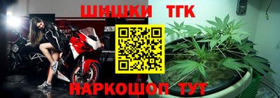 прущие крисы Кингисепп