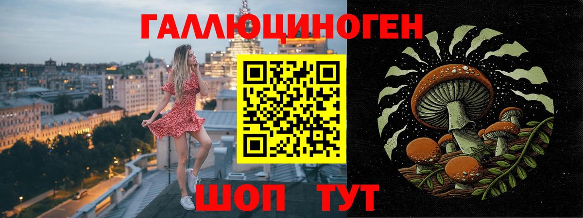 Псилоцибиновые грибы Psilocybe Зеленодольск