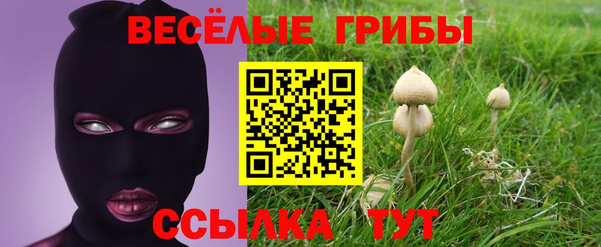Псилоцибиновые грибы Cubensis  Вход с VPN  Зеленодольск 